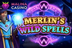 Merlins Wild Spells